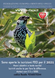 FEO-ISCRIZIONE