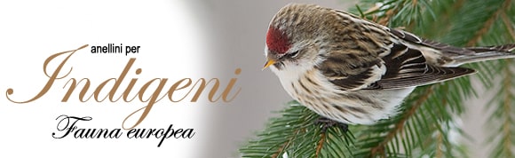 Indigeni, fauna europa