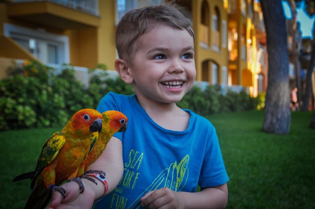 Ragazzo con pappagalli