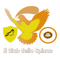 CLUB dello SPINUS